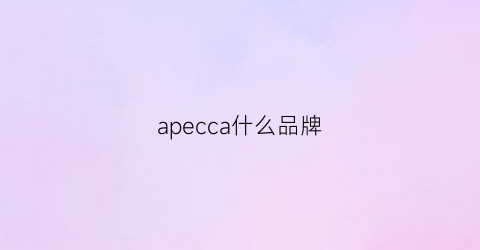 apecca什么品牌(apc是什么品牌)