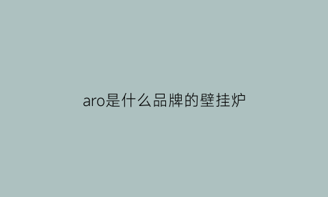 aro是什么品牌的壁挂炉(arkin壁挂炉官网)