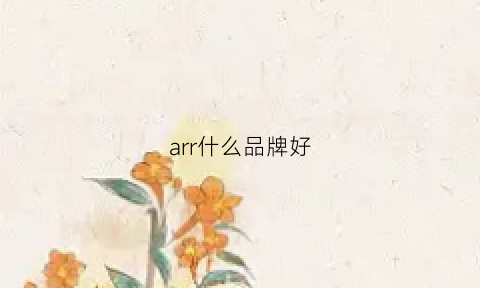 arr什么品牌好(arrl是什么牌子)