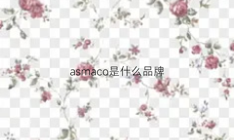 asmaco是什么品牌(asaroom是什么牌子)