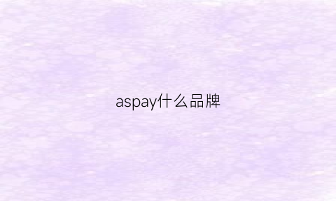 aspay什么品牌