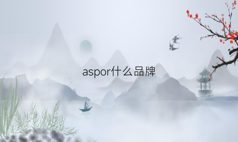 aspor什么品牌(aspi是什么品牌)