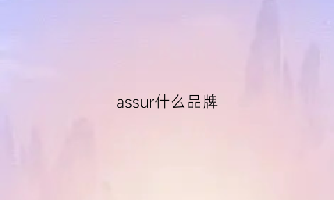 assur什么品牌