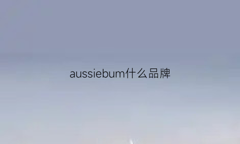 aussiebum什么品牌(aus是什么品牌)