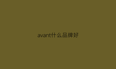 avant什么品牌好