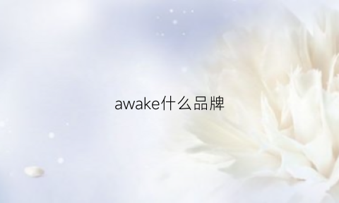 awake什么品牌