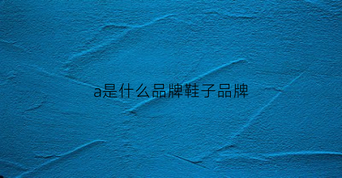 a是什么品牌鞋子品牌(aa是什么牌子鞋)
