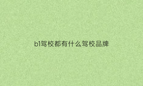 b1驾校都有什么驾校品牌(b1驾校报名费多少钱)