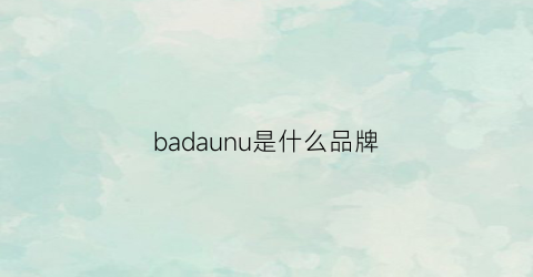 badaunu是什么品牌(bads是什么牌子)