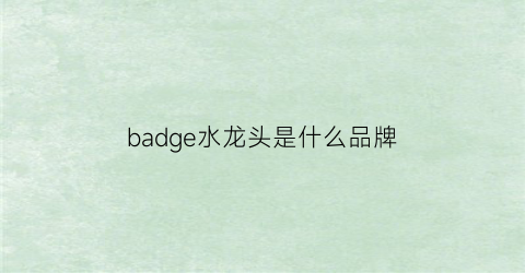 badge水龙头是什么品牌(badge水龙头进水管怎么拆开)