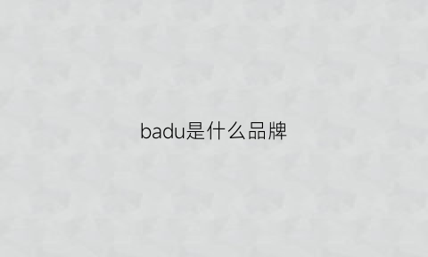 badu是什么品牌(bad是什么牌子)