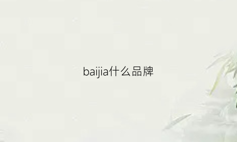 baijia什么品牌