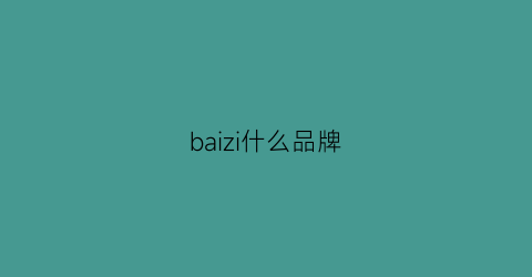 baizi什么品牌(baisi品牌)