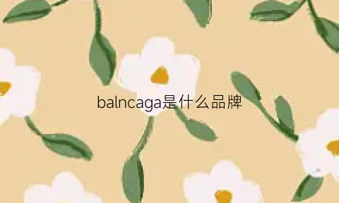 balncaga是什么品牌(bacca什么牌子)