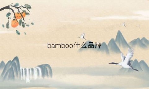 bamboo什么品牌(bamboo什么品牌鞋子)