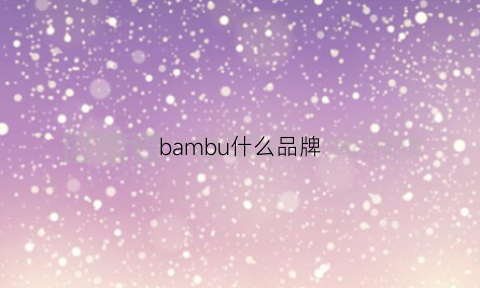 bambu什么品牌(bambini什么品牌)