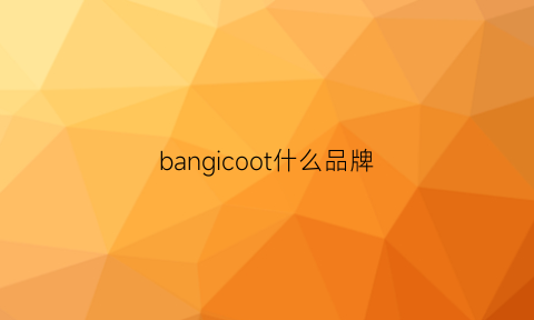 bangicoot什么品牌(bang是什么品牌)