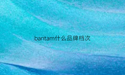 bantam什么品牌档次(baon品牌)