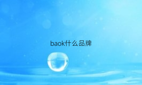 baok什么品牌(bak是什么牌子)