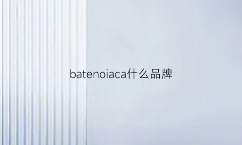 batenoiaca什么品牌(bataindustrials哪个国家的品牌)