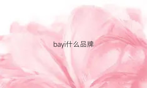 bayi什么品牌(bay是什么牌子的衣服)