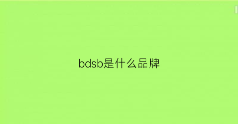 bdsb是什么品牌(bd是什么档次)