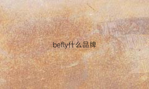 befly什么品牌(backfly是什么品牌)