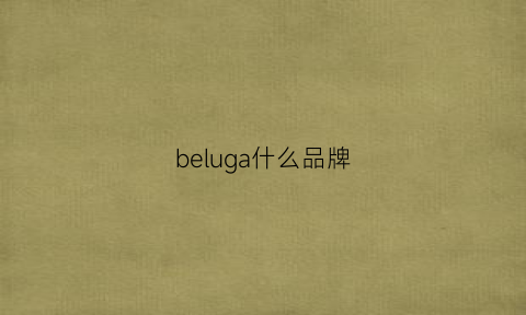 beluga什么品牌(belgium是什么牌子)