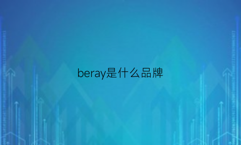 beray是什么品牌(berry是什么品牌)