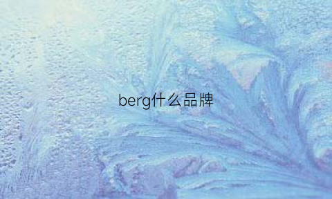 berg什么品牌(behr是什么品牌)