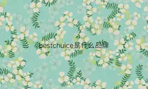 bestchuice是什么品牌