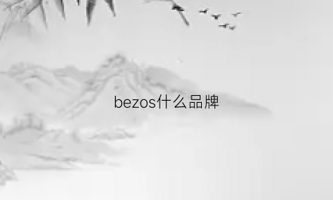 bezos什么品牌(besgu是什么牌子)