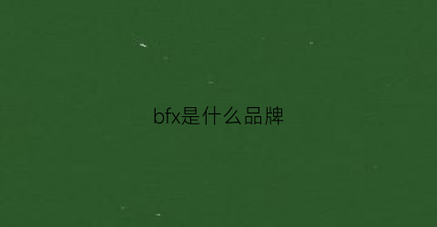 bfx是什么品牌(bfl是什么牌子)