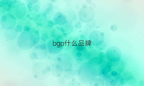 bgp什么品牌(bgp是啥)