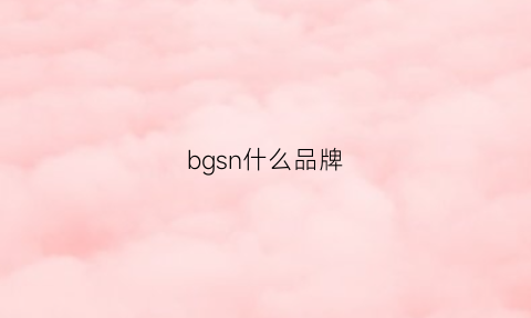 bgsn什么品牌(bgh是什么牌子)