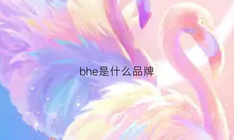 bhe是什么品牌(ble是什么牌子)