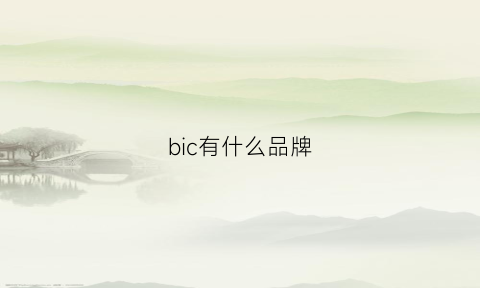 bic有什么品牌(bio品牌)