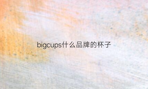 bigcups什么品牌的杯子