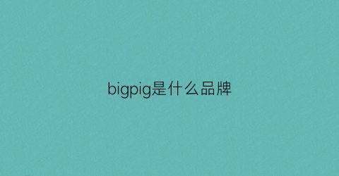 bigpig是什么品牌