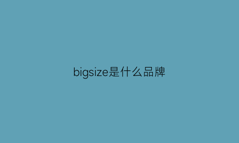 bigsize是什么品牌(big是什么牌子)
