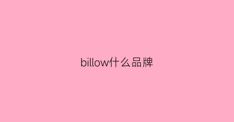 billow什么品牌(bw是什么品牌)