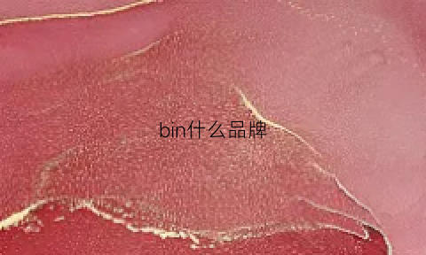 bin什么品牌(binbinno1是什么牌子)