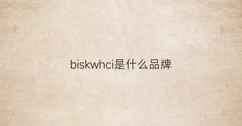 biskwhci是什么品牌(biwi是什么牌子)