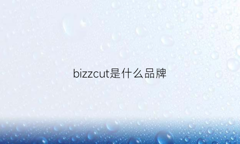 bizzcut是什么品牌