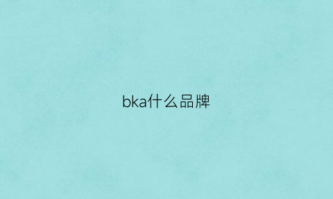 bka什么品牌(bkarmy是什么牌子)