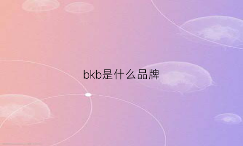 bkb是什么品牌(bk是哪個牌子)