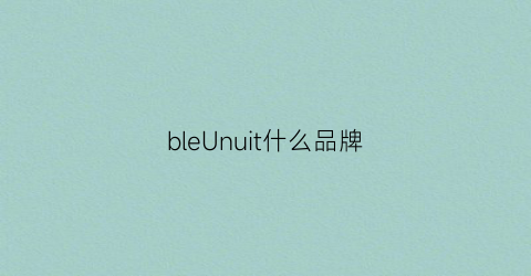 bleUnuit什么品牌(bleunult什么牌子)