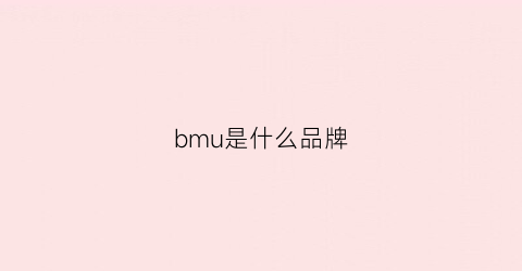 bmu是什么品牌(bmm什么牌子)