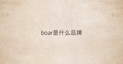boar是什么品牌(bora是什么牌子)