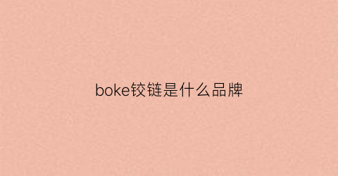 boke铰链是什么品牌(bolomu铰链是什么牌子)